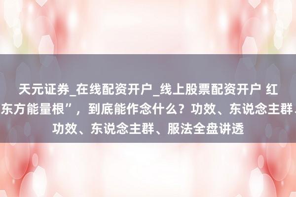 天元证券_在线配资开户_线上股票配资开户 红参这味陈腐的“东方能量根”，到底能作念什么？功效、东说念主群、服法全盘讲透