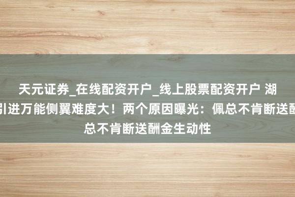 天元证券_在线配资开户_线上股票配资开户 湖东说念主引进万能侧翼难度大！两个原因曝光：佩总不肯断送酬金生动性