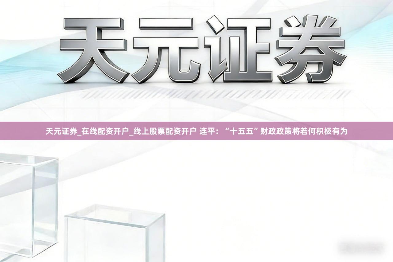 天元证券_在线配资开户_线上股票配资开户 连平：“十五五”财政政策将若何积极有为